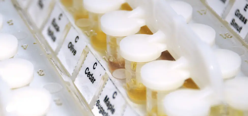 Yellow substances in small white-capped bottles