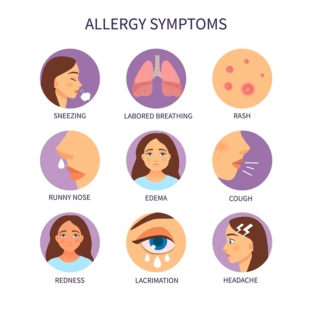 Graphic displaying allergy symptoms