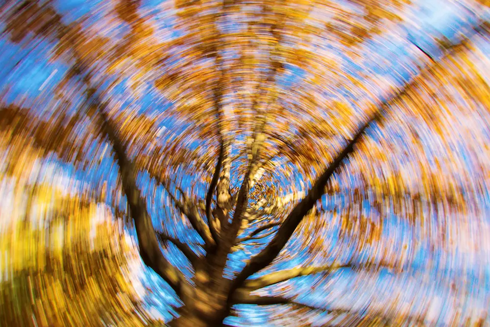 Blurred tree from the perspective of someone with dizziness or vertigo